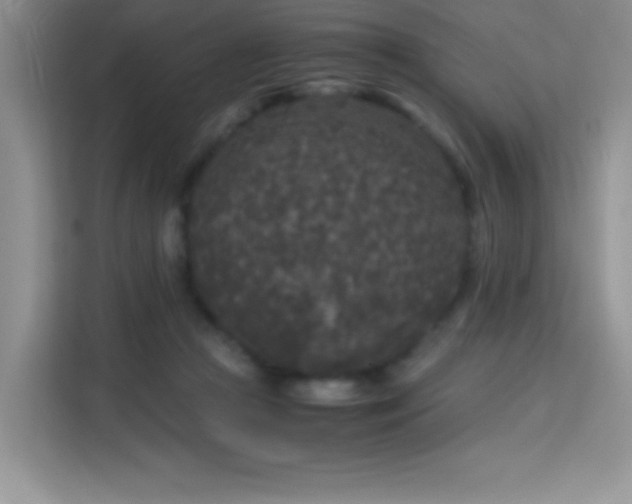 X0000114090361200910051430