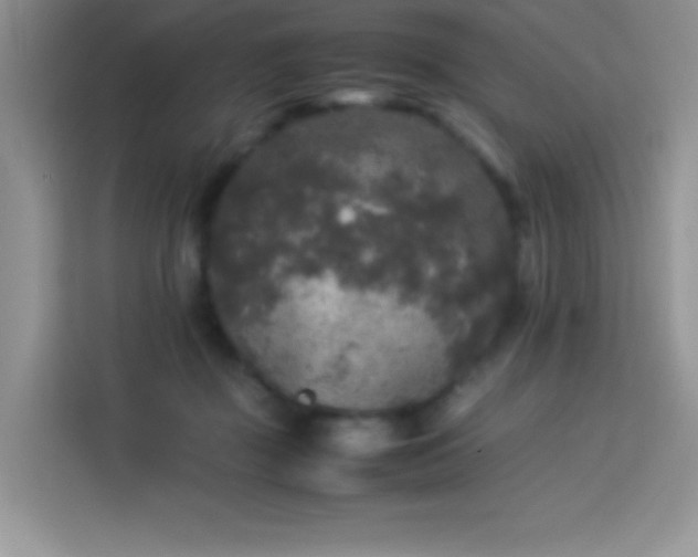 X0000114090363200910051430