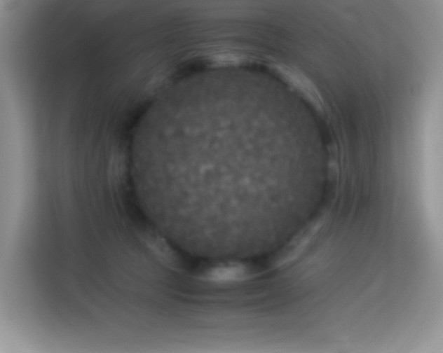 X0000114090369200910051430