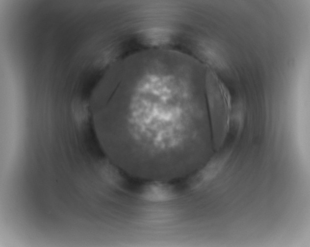 X0000114090372200910051430