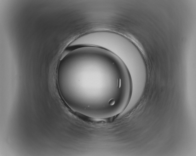 X0000114090385200910051429