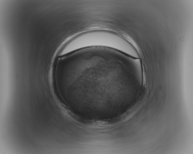 X0000114090387200910051429