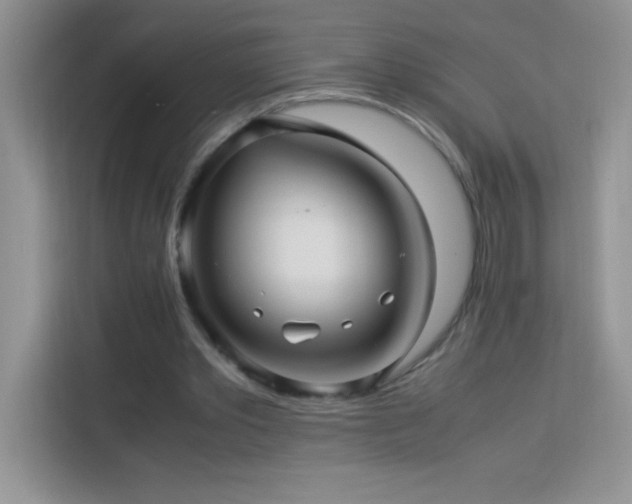 X0000114090389200910051429