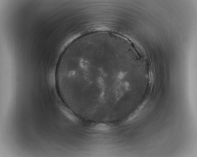 X0000114090390200910051429