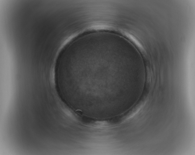 X0000114090391200910051429
