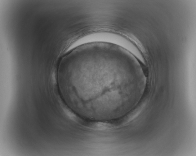 X0000114090393200910051429