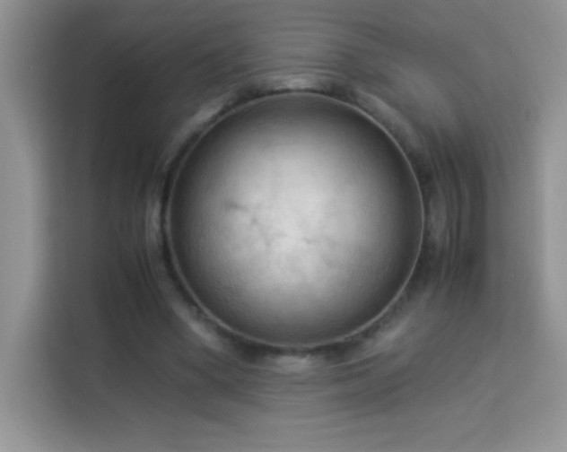 X0000114090394200910051429