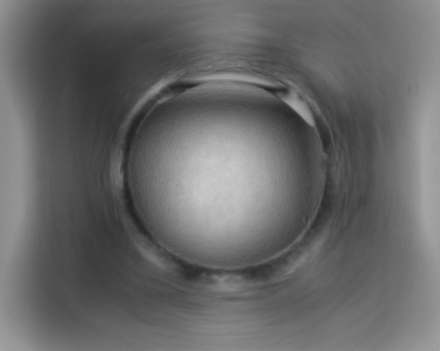 X0000114090395200910051429