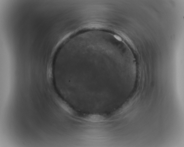 X0000114090399200910051429