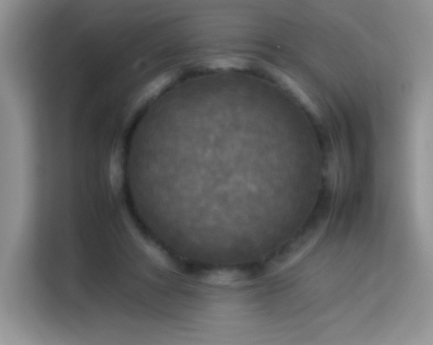 X0000114090402200910051429