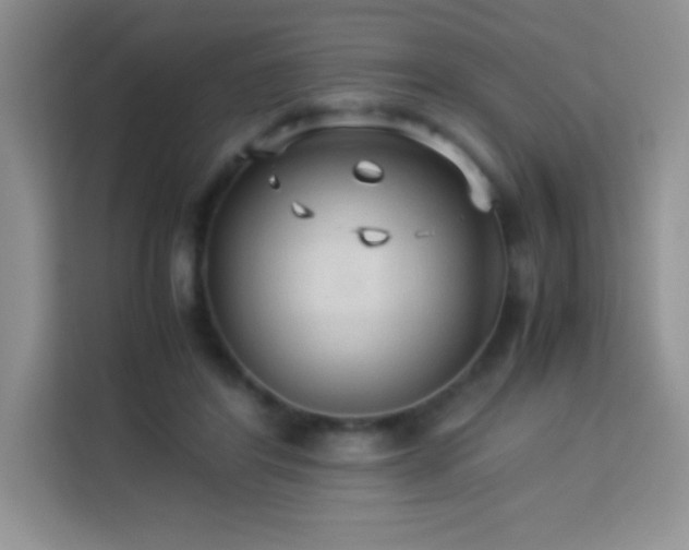 X0000114090404200910051429