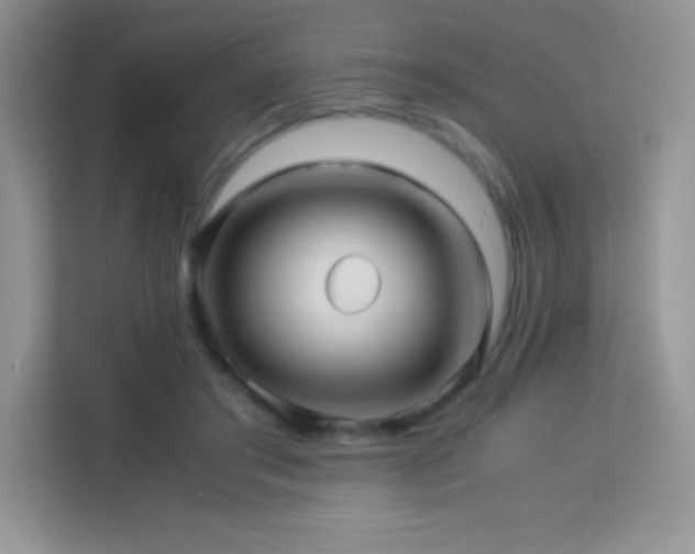 X0000114090405200910051429