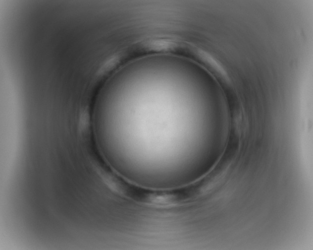X0000114090407200910051429