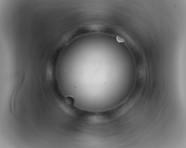 X0000114090408200910051429
