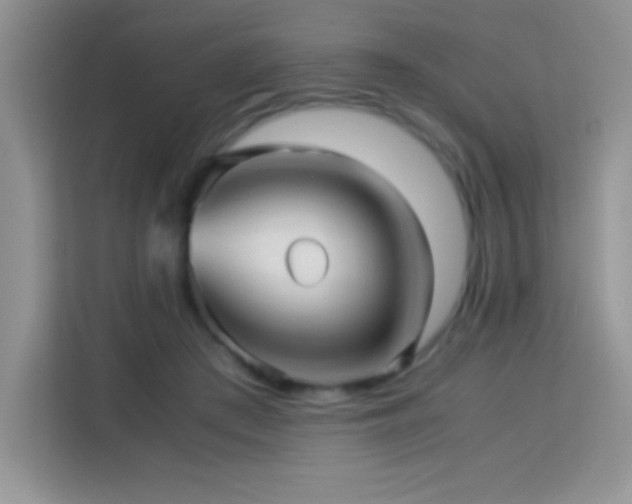 X0000114090409200910051429