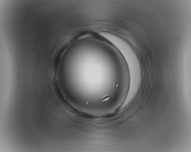 X0000114090411200910051429