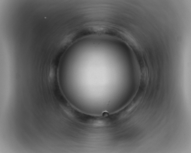X0000114090412200910051429