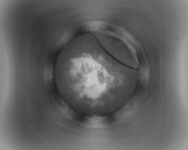 X0000114090413200910051429