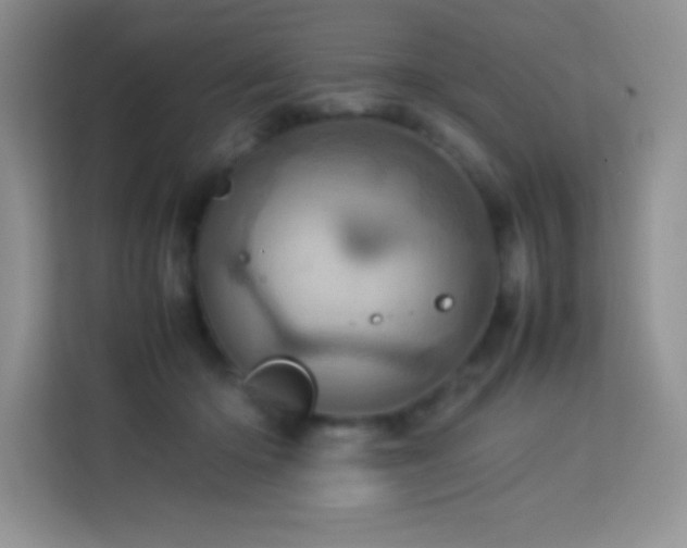X0000114090414200910051429
