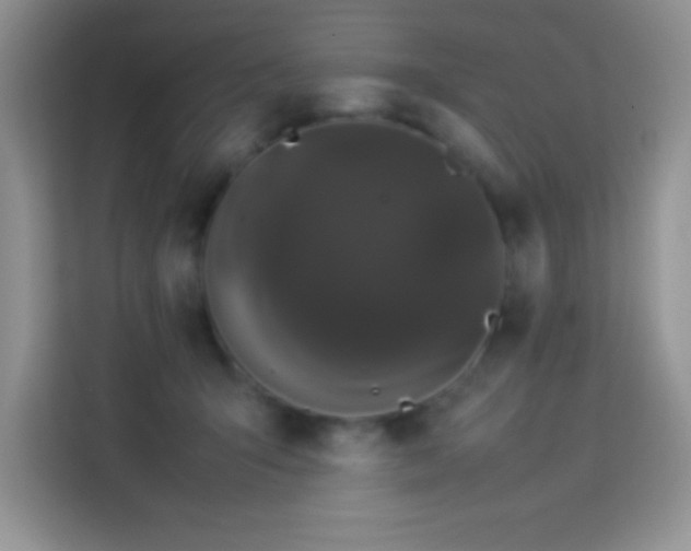 X0000114090415200910051429