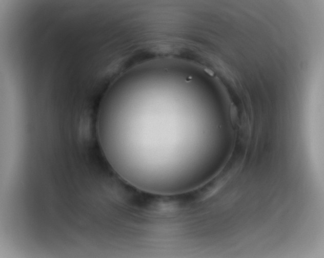 X0000114090416200910051429