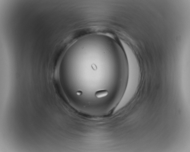 X0000114090417200910051429