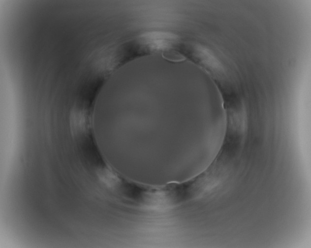 X0000114090419200910051429