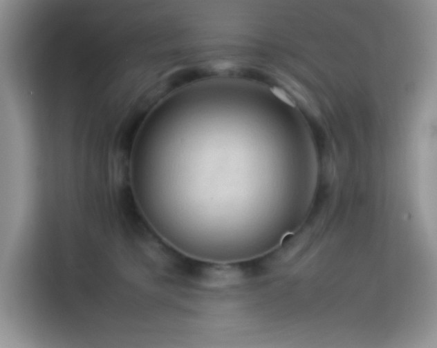 X0000114090421200910051429