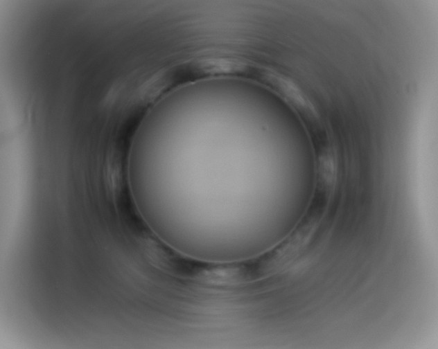 X0000114090422200910051429