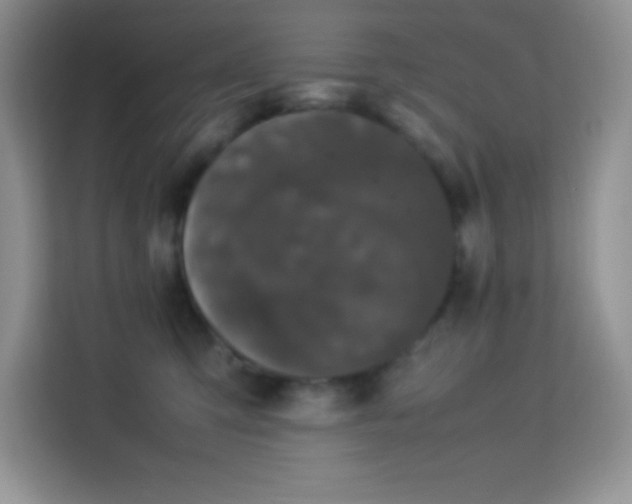 X0000114090423200910051429