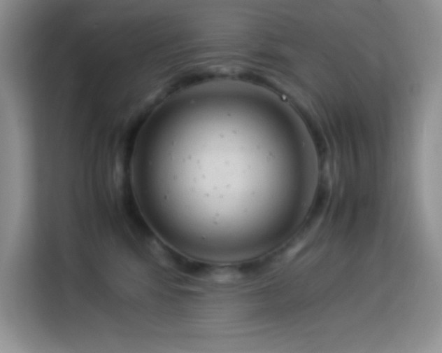 X0000114090424200910051429