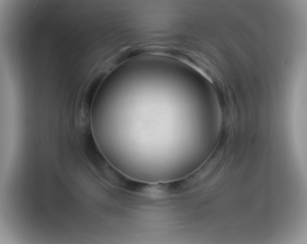 X0000114090425200910051429