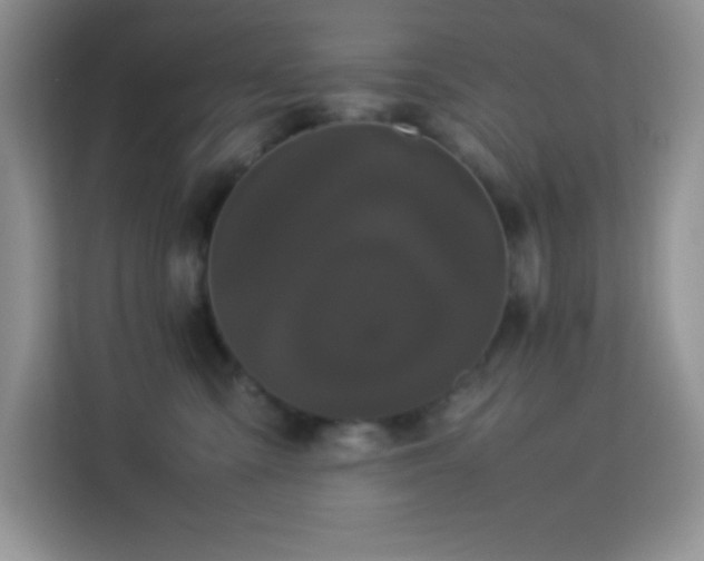 X0000114090427200910051429