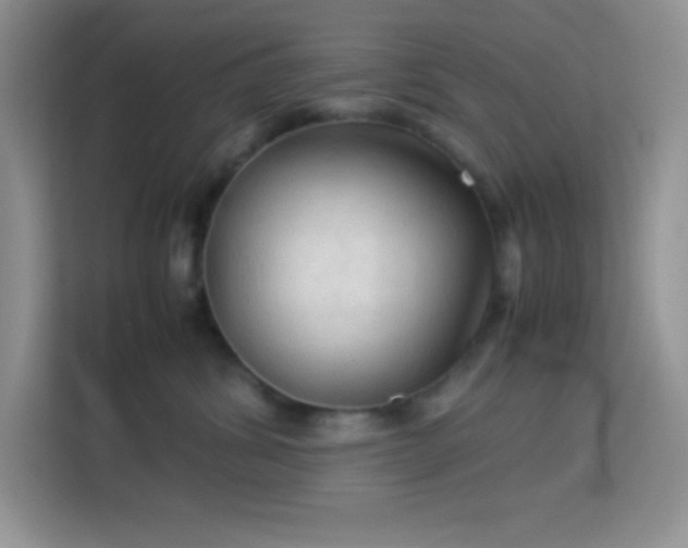 X0000114090428200910051429