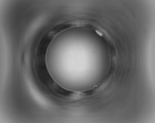 X0000114090429200910051429