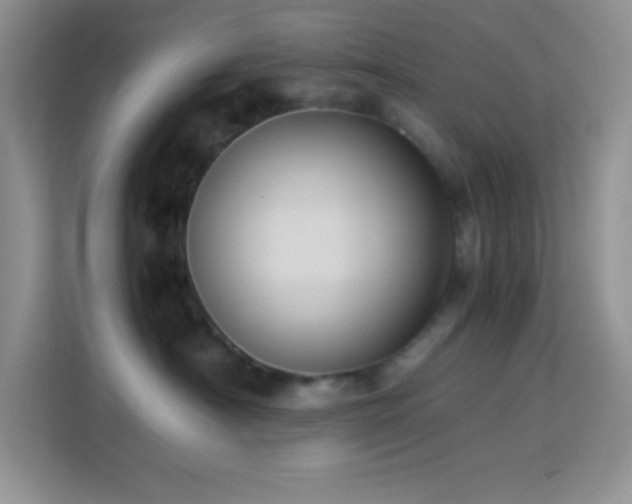 X0000114090430200910051429