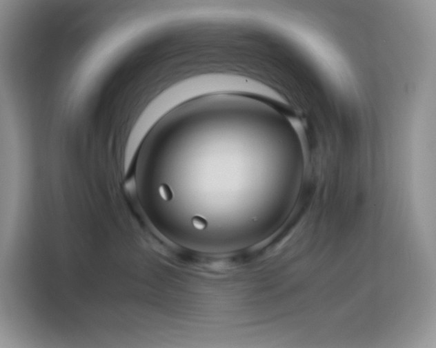 X0000114090431200910051429