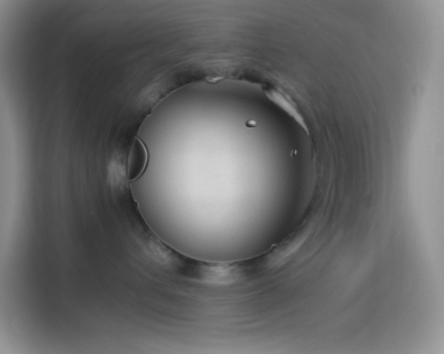 X0000114090432200910051429