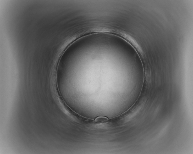 X0000114090433200910051428