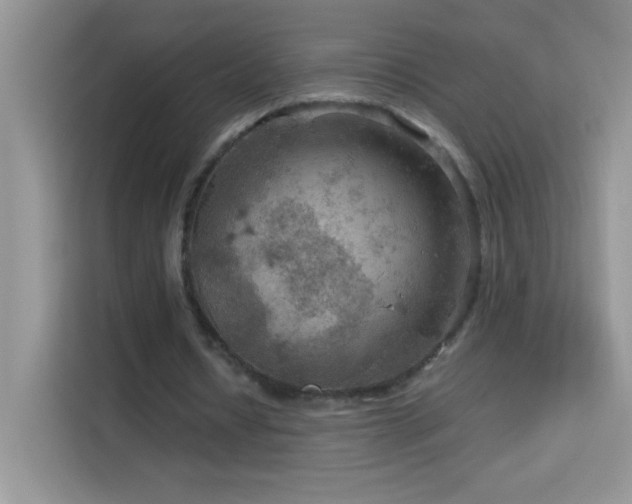 X0000114090434200910051428