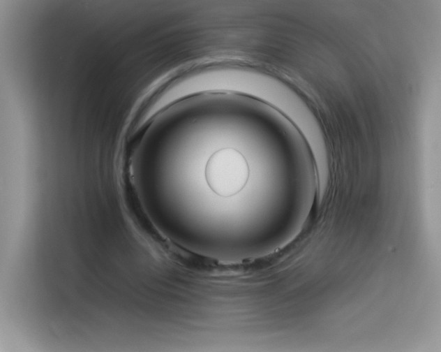 X0000114090440200910051428