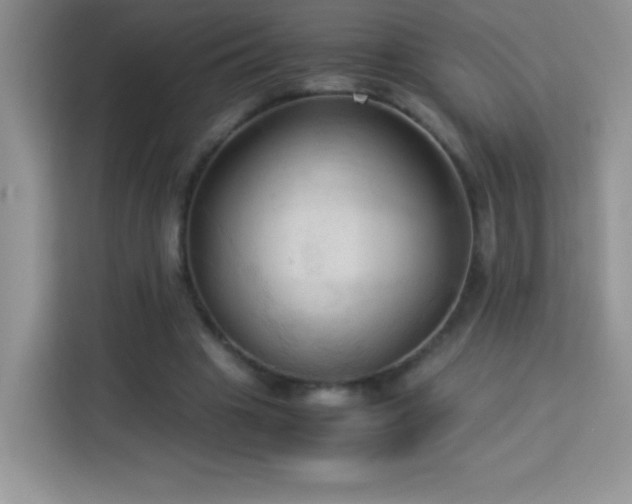 X0000114090441200910051428