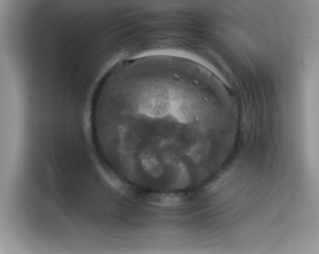 X0000114090443200910051428