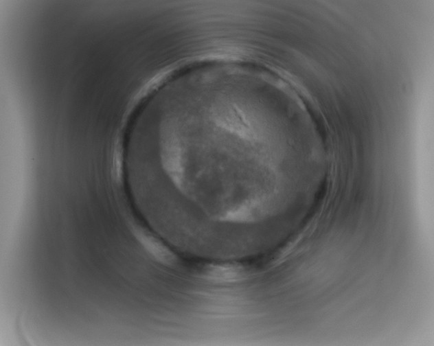 X0000114090446200910051428