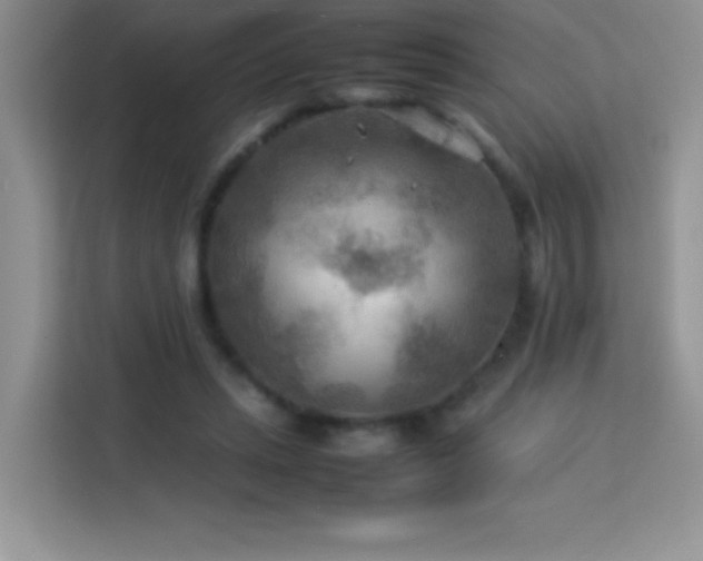 X0000114090447200910051428