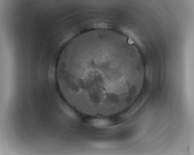 X0000114090449200910051428