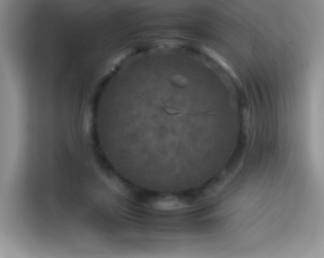 X0000114090451200910051428