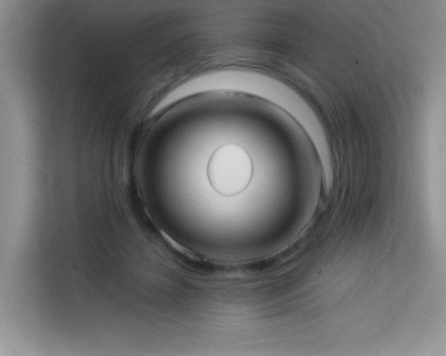 X0000114090452200910051428