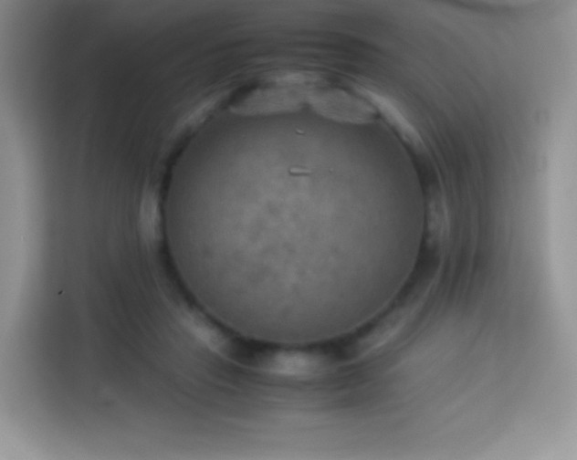 X0000114090453200910051428