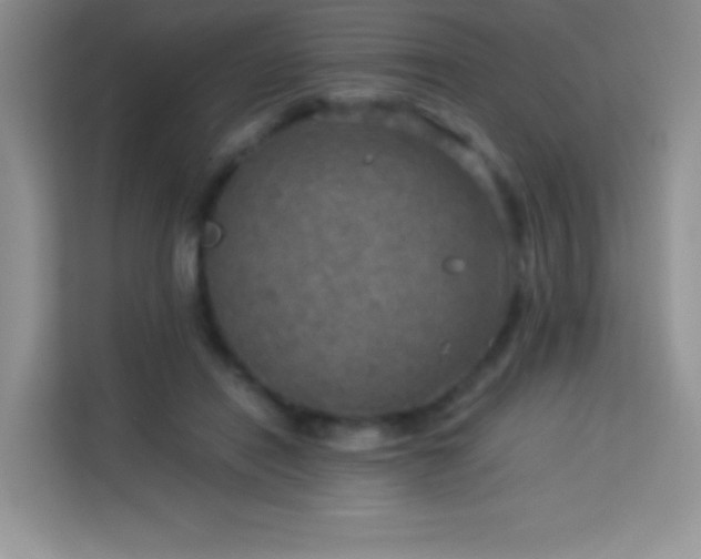X0000114090454200910051428
